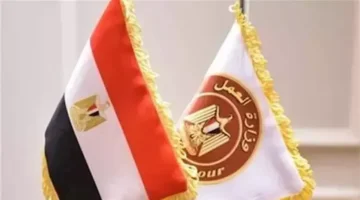 وزارة العمل تفرض قيودًا جديدة على سفر السيدات للعمل بمهن محددة خارج مصر